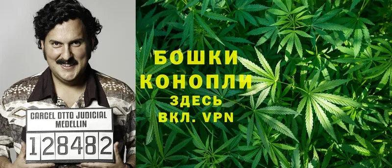 Марихуана White Widow  Чебоксары 